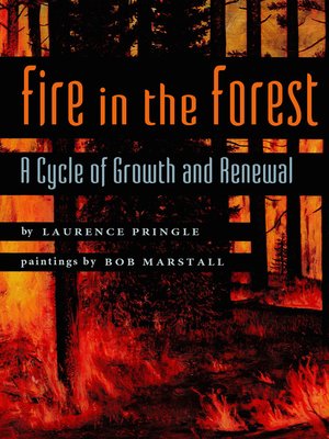 cover image of Fire in the Forest